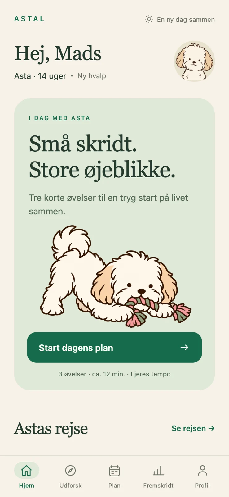 Asta: hjemskærmen i den aktuelle prototype